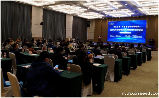 1626770501305.jpg t1.jpg