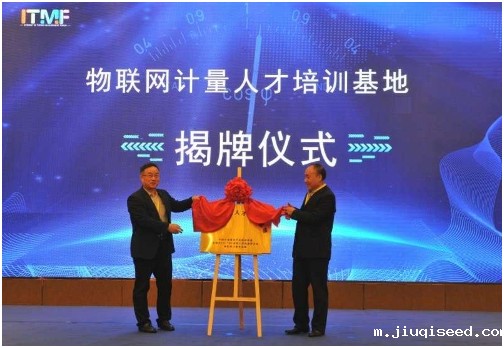 1626770530456.jpg t5.jpg