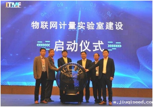 1626770539677.jpg t6.jpg