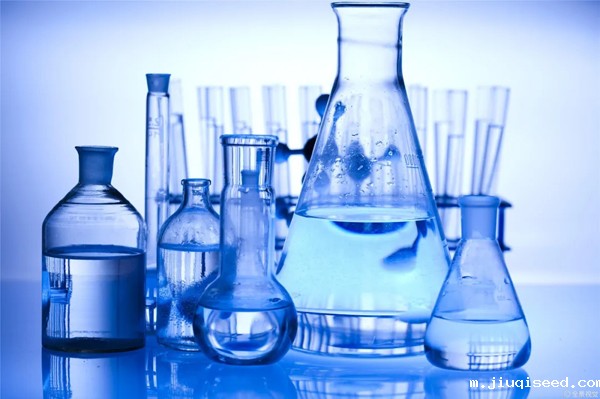 1627536060275.jpg shiyshi.jpg